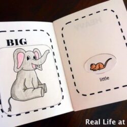 Little Book of Opposites – Real Life At Home