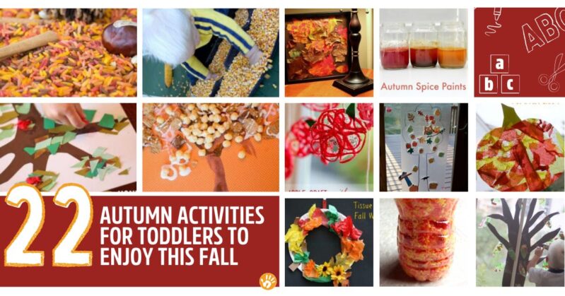 These Fall activities for toddlers will create lasting memories with your kids this Autumn. From trees to leaves and apples to pumpkins! Plus a fall bucket list!