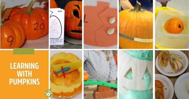 Pumpkins can be so much more then a jack-o-lantern! Learn, play, decorate them! There are some seriously fun pumpkin activities for kids to do!