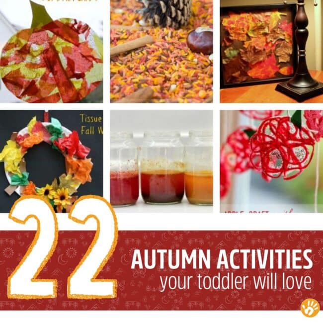 These Fall activities for toddlers will create lasting memories with your kids this Autumn. From trees to leaves and apples to pumpkins! Plus a fall bucket list!