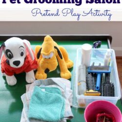 Pet Grooming – Sunny Day Family