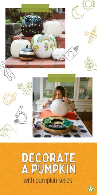 Want to decorate your pumpkins WITHOUT carving them? Decorating a pumpkin with dyed pumpkin seeds is a sweet option for preschoolers!