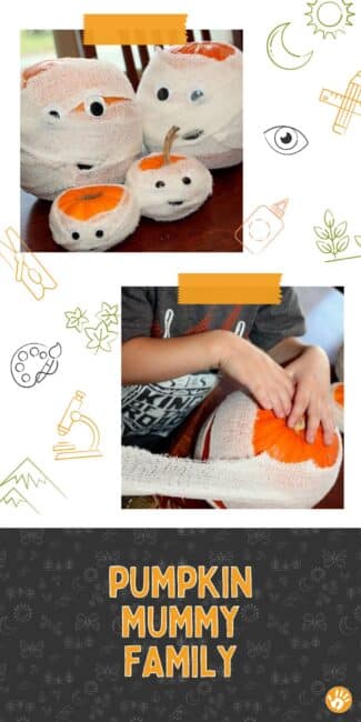 A family of pumpkin mummies is what every Halloween needs! Fun craft for both kids and adults to make for Halloween! Create one or many for a whole family.