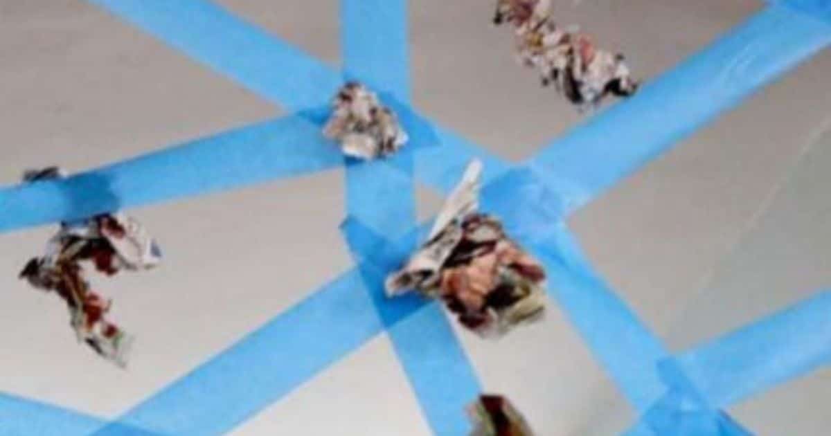 Sticky Web Inage Sticky Spider Web Activity That Is Fun and Simple - HOAWG