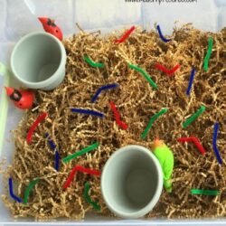 Bird Nest Sensory Bin – Modern Preschool
