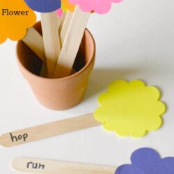 Pick a Flower – Pre-K Pages
