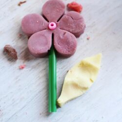 Spring Flowers Dough Kit – The Kindergarten Connection