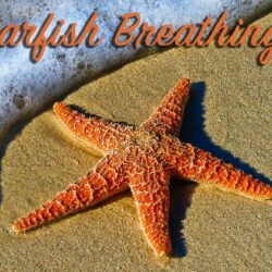 Starfish Breathing – Project Play Therapy