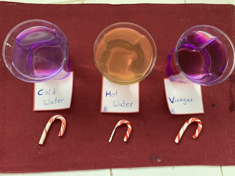 Vinegar, water, glasses and candy canes is all you need for this fun Christmas science experiment of dissolving, observing, predicting, and learning together this holiday season.