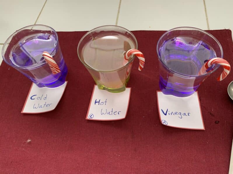 Too many candy canes? Why not turn it into a science experiment perfect for the holidays with toddlers and preschoolers using candy canes and household supplies.