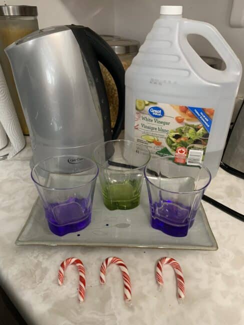 Supplies needed for simple dissolving candy cane science experiment
