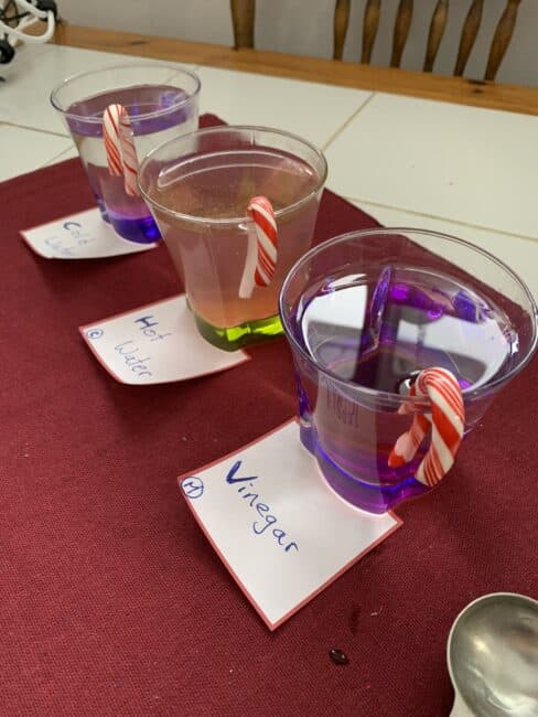 Try a festive science experiment with candy canes, water and vinegar to see what dissolves first with your toddlers and preschoolers at home this holiday season.