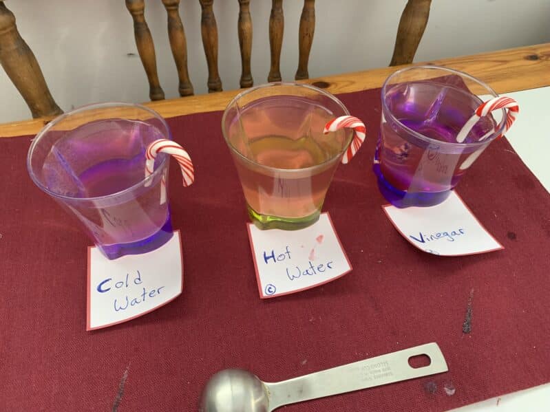 Use a few of your Christmas candy canes for a little science experiment in a festive theme and watch and predict which will dissolve first!
