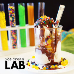 Left Brain Craft Brain – Ice Cream Lab
