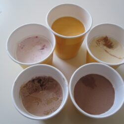 No Time for Flashcards – Ice Cream Taste Test