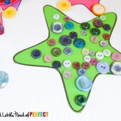 A Little Pinch of Perfect – Button Starfish