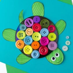 Fireflies and Mudpies – Button Turtle Craft