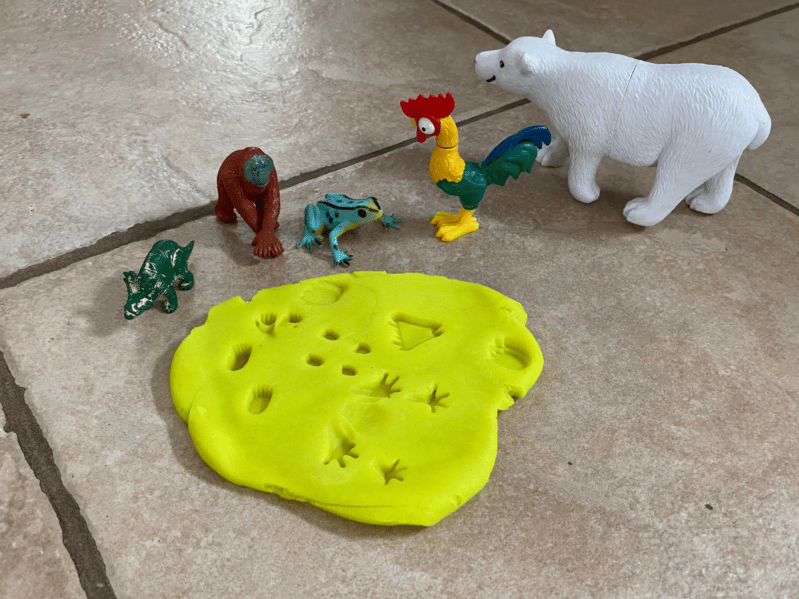 Animal Print Matching with fine motor play dough hidden treasure activity. So much learning possibilities as you decide which theme to hide in the play dough. Animals, letters, colors, shapes, etc.