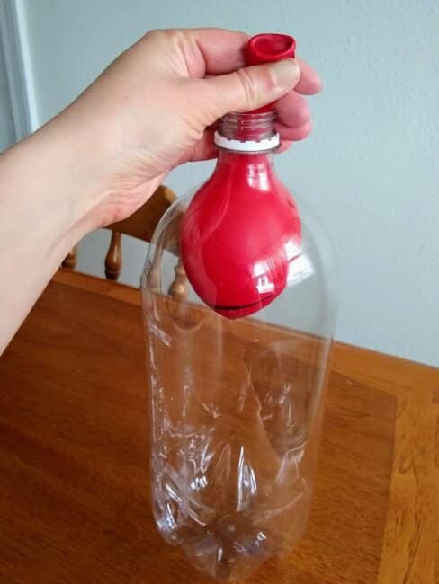 Putting the balloon whale in the bottle before you blow it up.