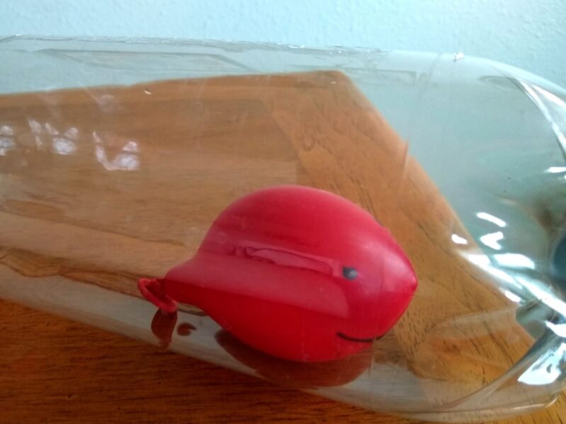 The balloon whale sits in the bottle.