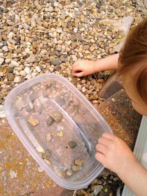 Clara searches for rocks for the Save the Duck activity.