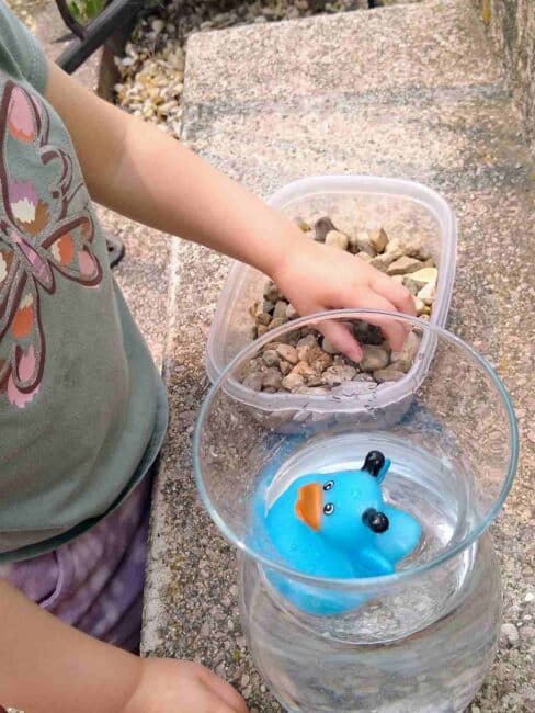 Help the duck find sweet escape by dropping rocks to displace water in this simple backyard science experiment!