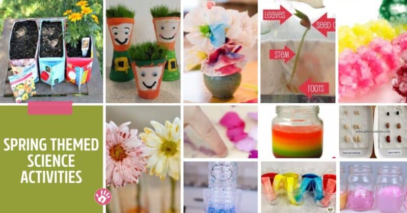 Teach all kinds of science topics with these spring themed activities that are all about science.