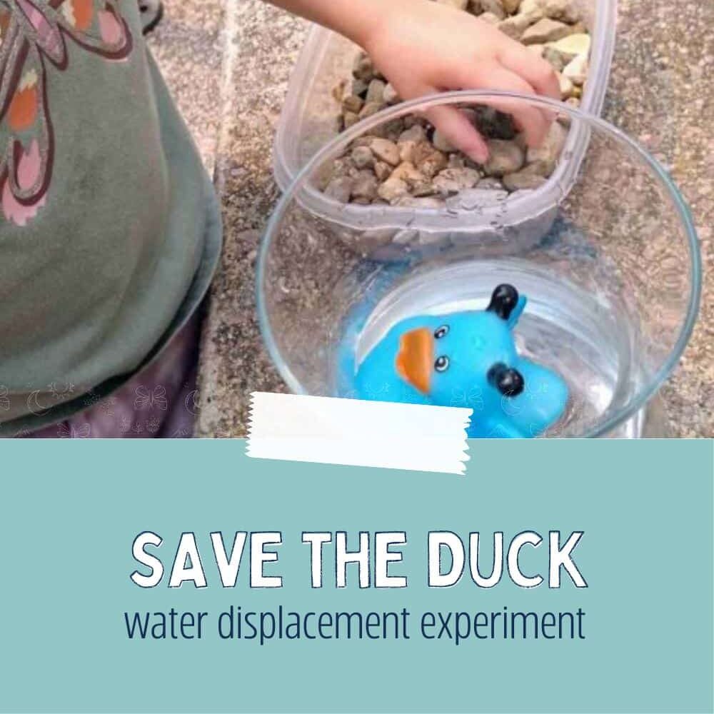 Let your toddlers be heroes in the backyard with this simple “save the duck” water displacement experiment using just rocks, water, vase, and rubber ducky!