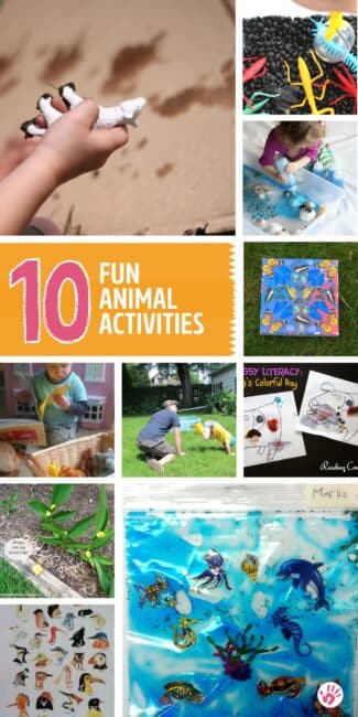 Fun animal activities to go with classic animal books for preschoolers