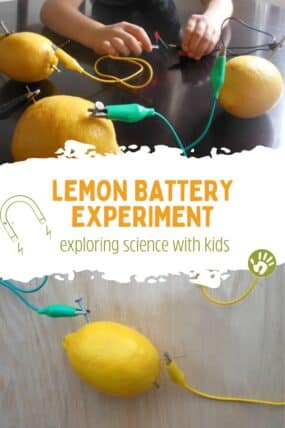 Lemon battery experiment! Using lemons to light an LED. So cool!