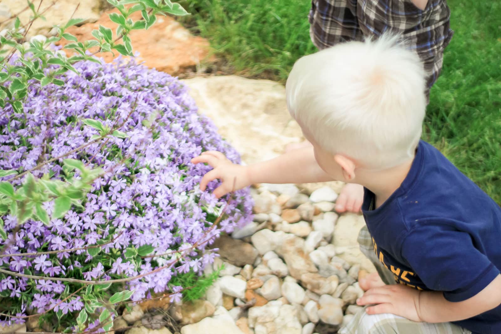 Go Find Nature Nature Seek & Sort - Hands On As We Grow®