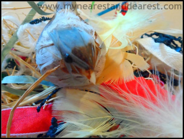 Bird-Nest-Activity-for-Kids