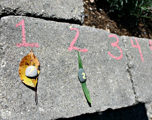 Leaf counting on a nature walk scavenger hunt