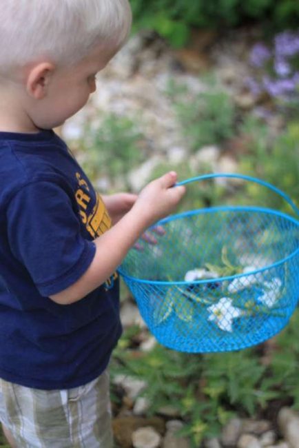 A week of nature activities for kids to do!