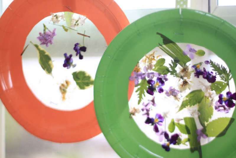 Use flowers and plants to make a DIY nature collage suncatcher!