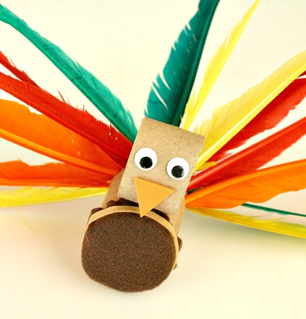 Turkey-Craft-and-Fine-Motor-Activity-for-Kids