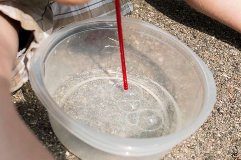 Explore what makes bubbles with homemade bubble solution