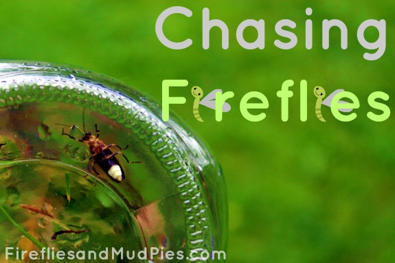 chasing-fireflies