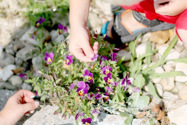 Searching for colors in nature to make nature suncatchers wind chimes