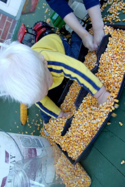 Corn sensory bin for toddlers