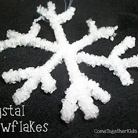 Use tips from Come Together Kids to make your own crystal snowflakes