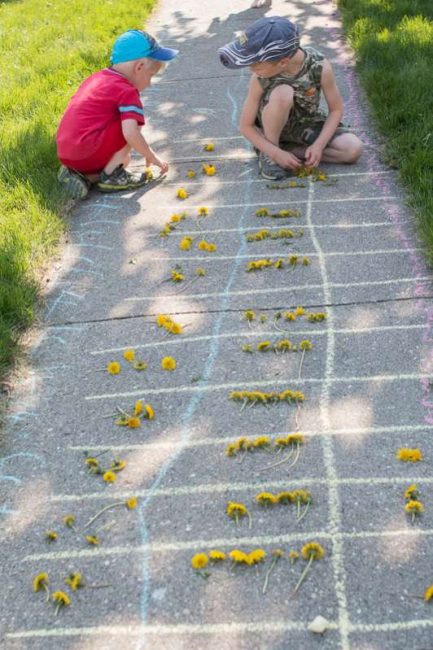 Counting dandelions in a race 