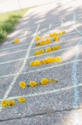 A dandelion counting race for the kids to pick them from the yard