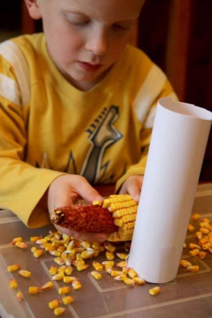 Experiment to find if the kernels take up more volume than the ear of corn itself