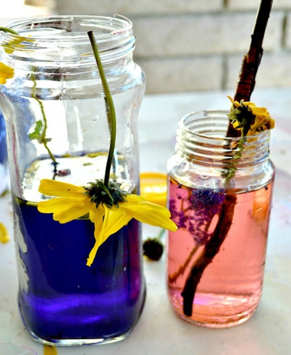 flower-potions-in-bottles