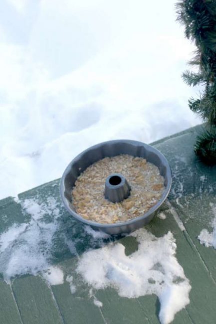 Freeze your ice wreath bird feeder outside - or in your freezer.