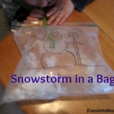 jdaniel4smom_snowstorm_bag_title