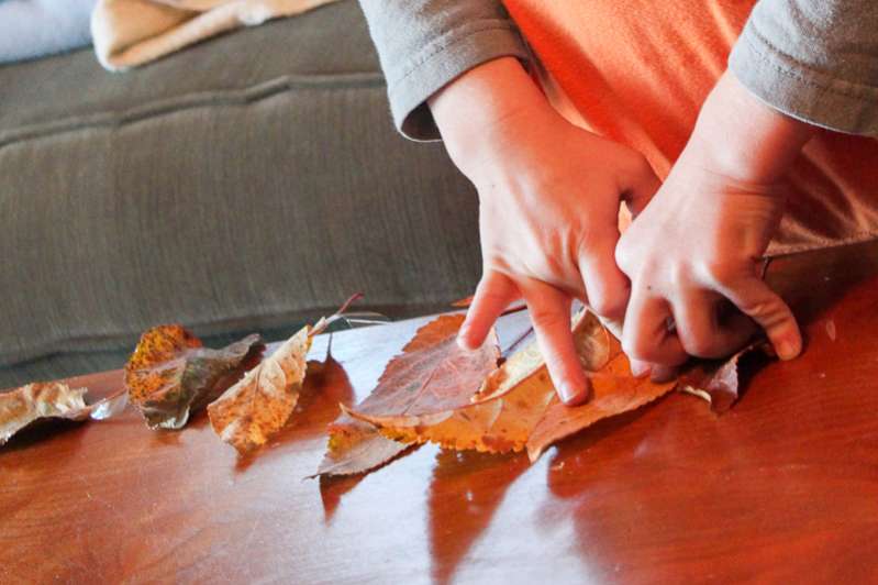 How to make a leaf garland to decorate for fall