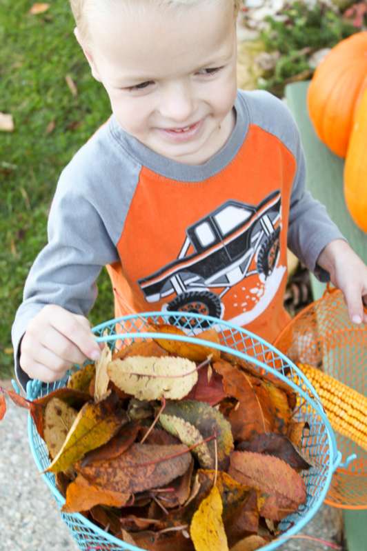 Collect leaves to make a leaf garland to decorate for fall
