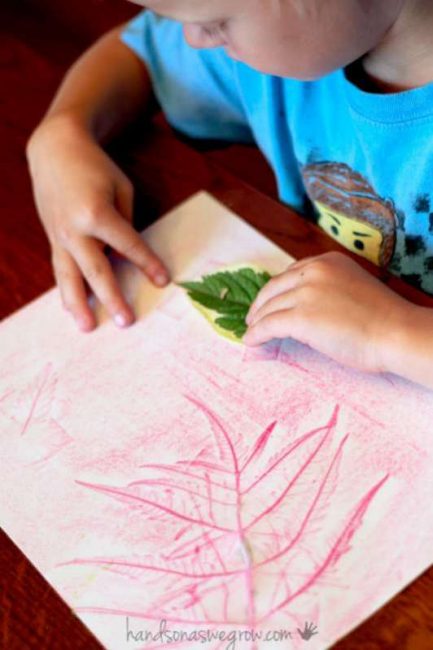 Match leaves to leaf rubbings